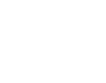 GTO wizard white logotype